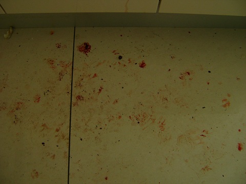 bloody_floor